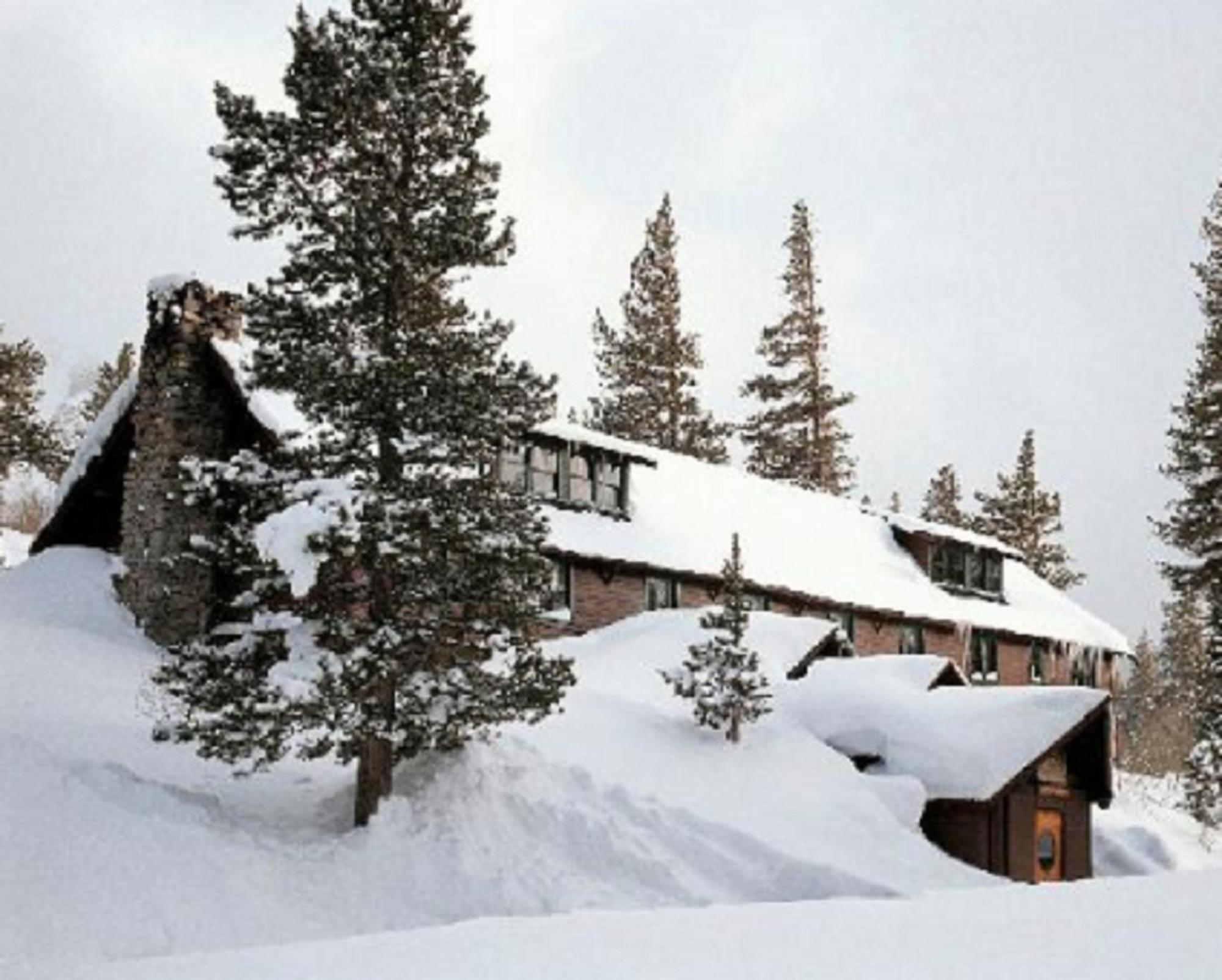 Tamarack 3*
